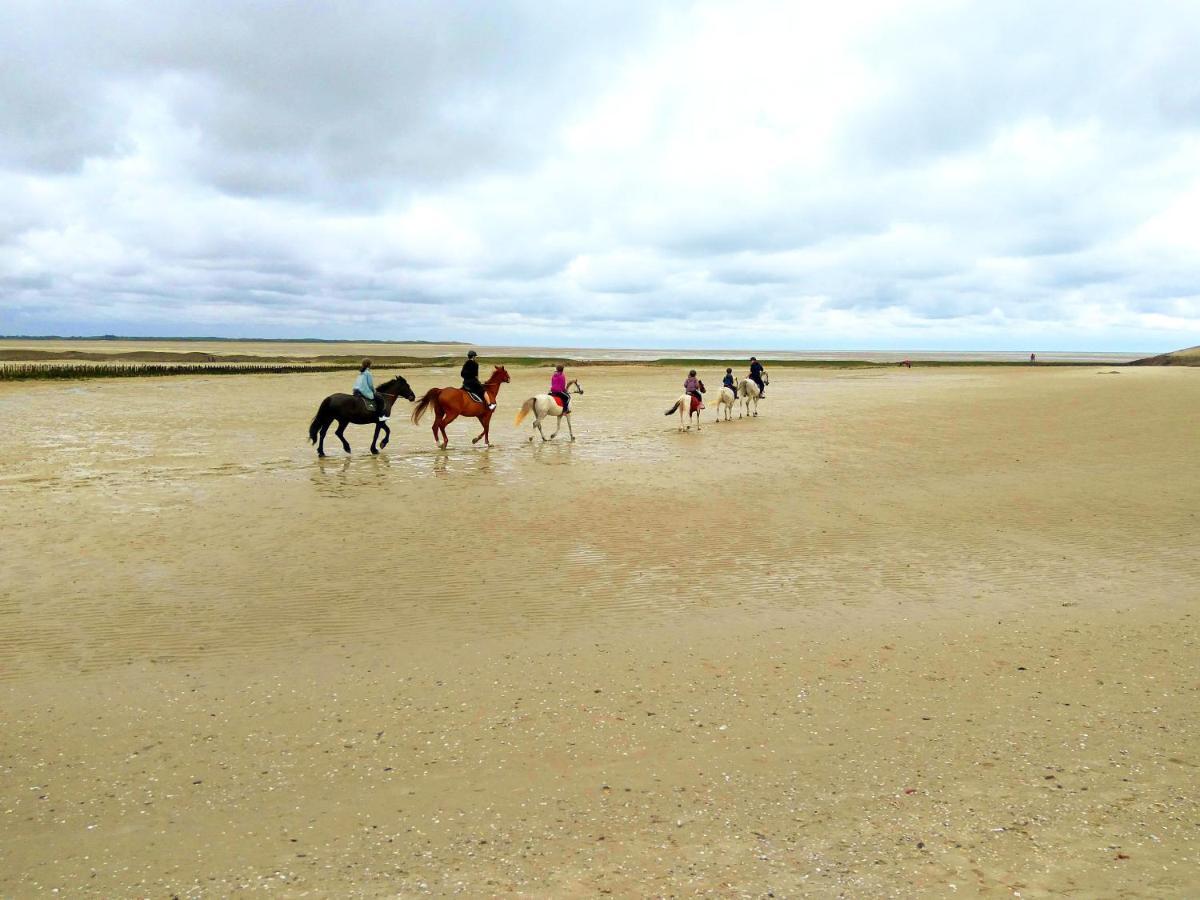 Maison Proche Des Immenses Plages De Berck Sur Mer A 1,8Km Des Plages Eksteriør bilde